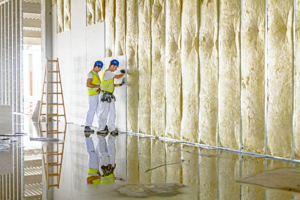 Best Insulation Installation Services in Fort Smith, AR